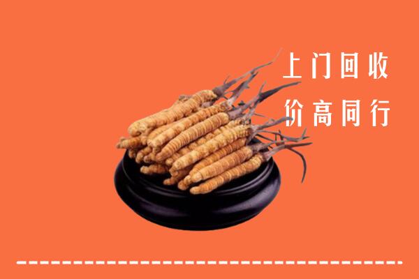 高价求购：金华回收散虫草