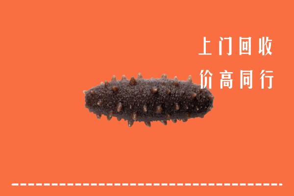 高价求购：金华回收海参