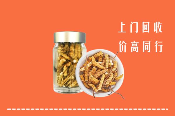 金华回收冬虫夏草