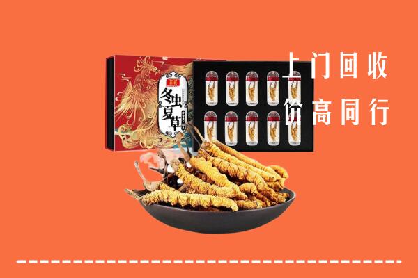 金华回收虫草